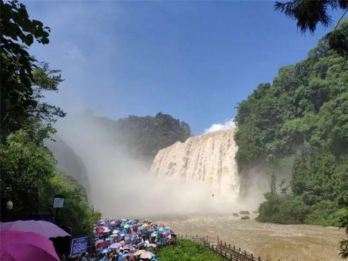 游客注意 即日起,黃果樹景區(qū)開閉園時(shí)間有調(diào)整