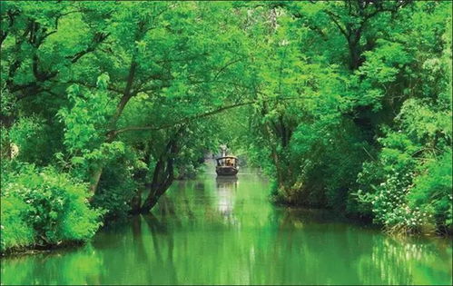 浙 幾家旅游經典景區,春節約起來