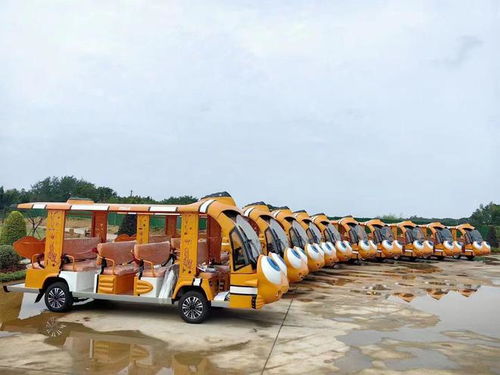 旅游景區(qū)電動(dòng)觀光車,絕佳的游覽觀光出行方式